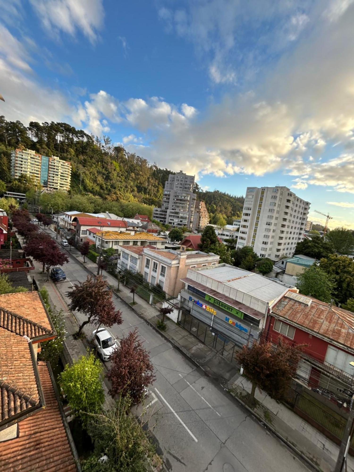 Mirador Parque Apartment Concepción Exterior foto